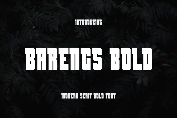 Barengs: The Bold Serif Font for Modern Branding