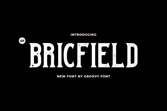 Bricfield Font for Retro Campaigns and Branding